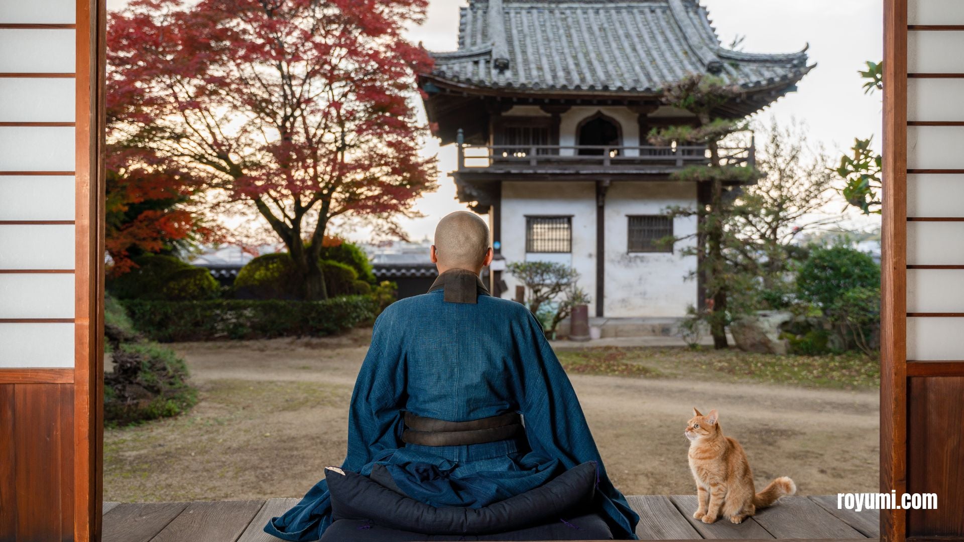 禅の波を探る: 日本式瞑想