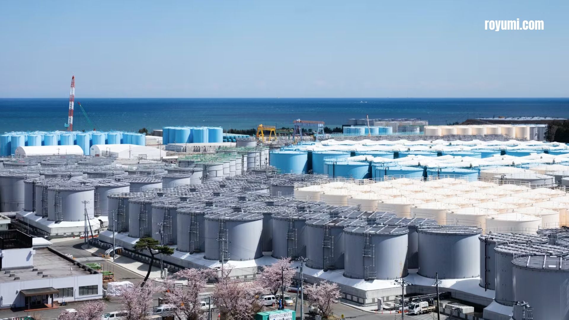 ALPS システムと福島の処理水の責任ある管理: 安全性と透明性