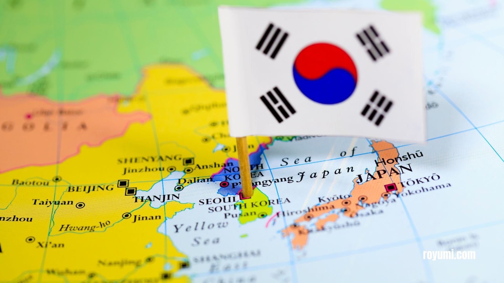 東アジア文化交流会：日本と韓国の類似点と相違点を探る