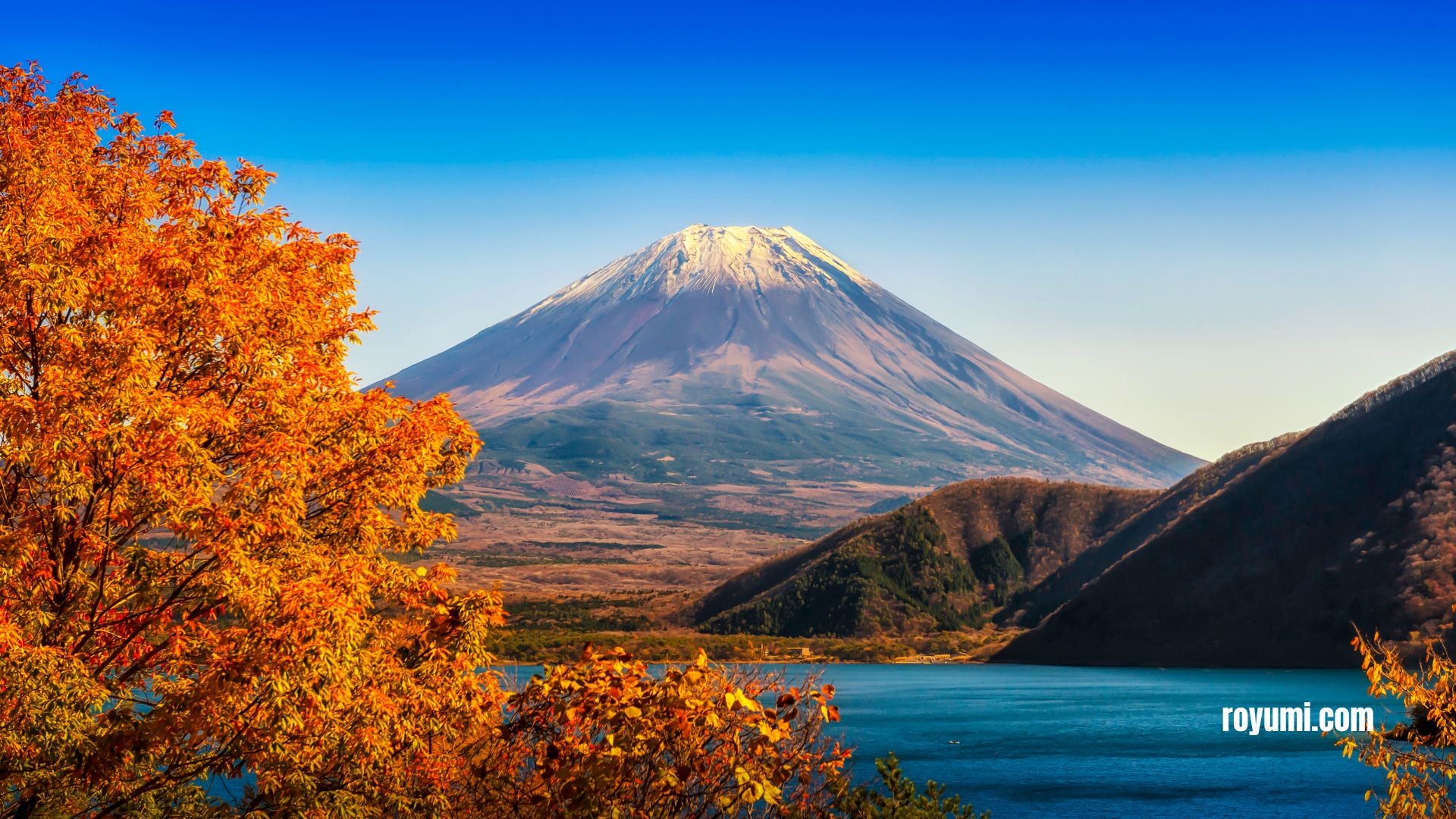 自然の美しさを発見：日本の隠された宝物をハイキング