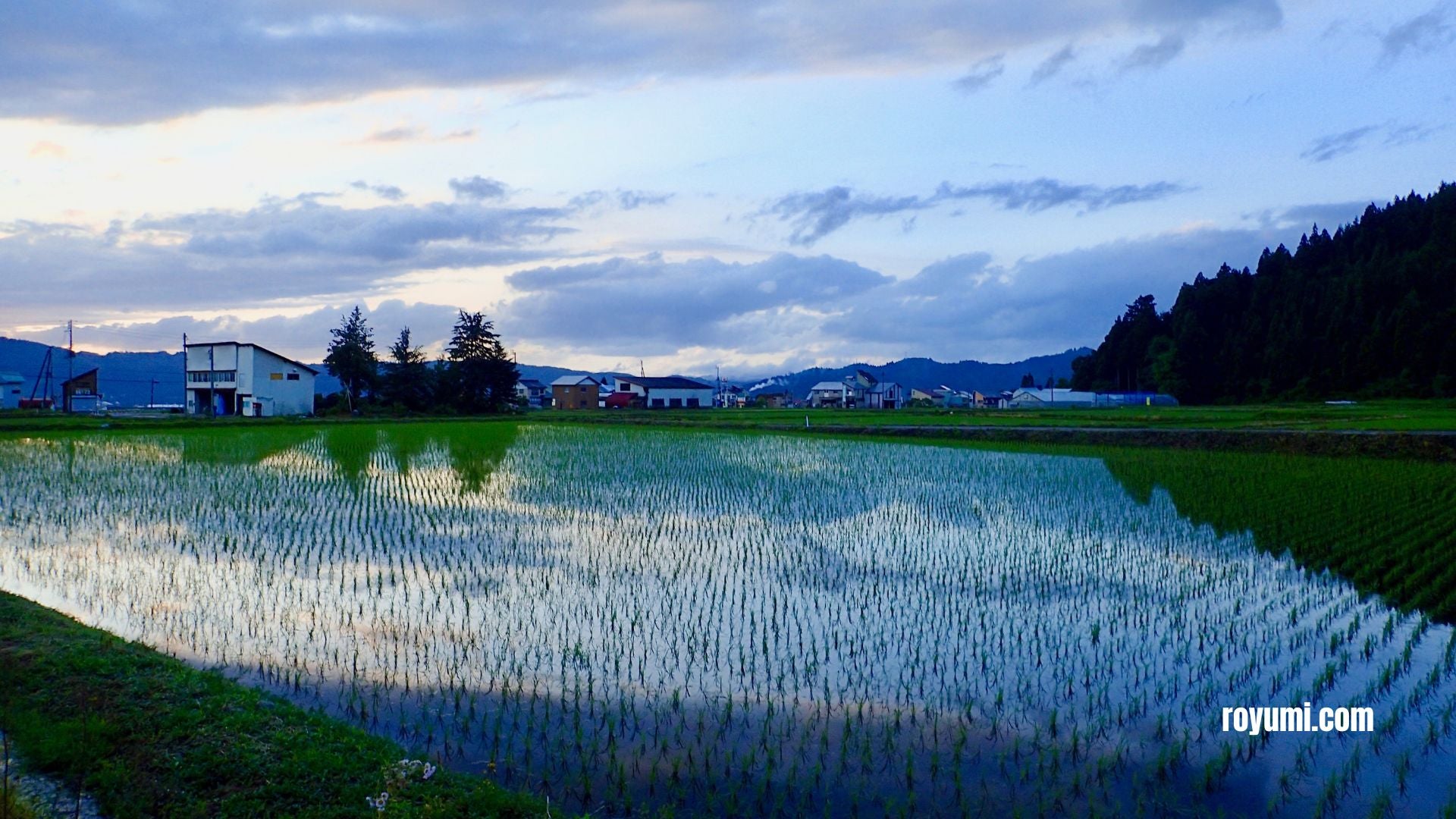 新潟県をもっと楽しむ旅を計画しよう