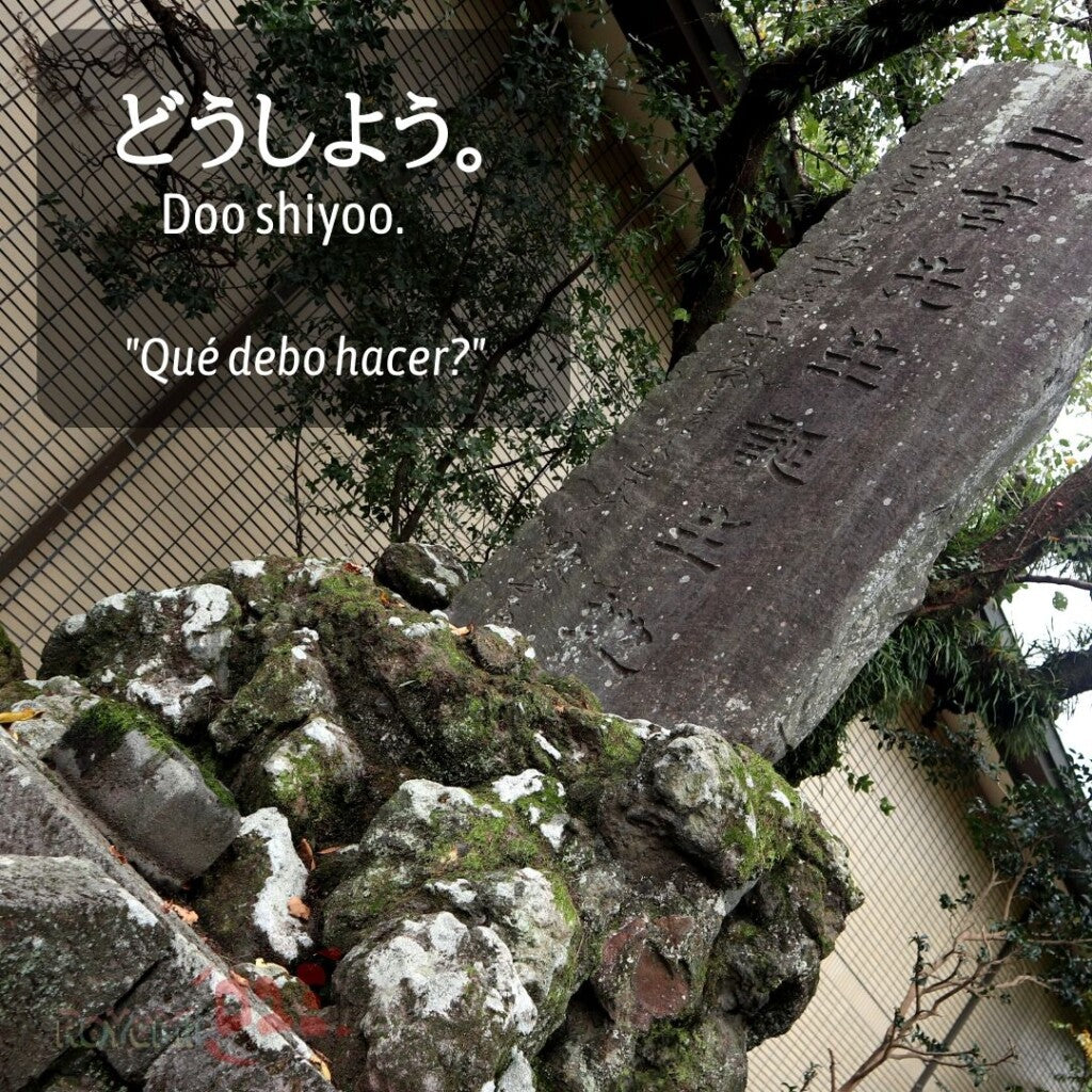 どうしよう。 (Doo shiyoo.) / Learn Japanese