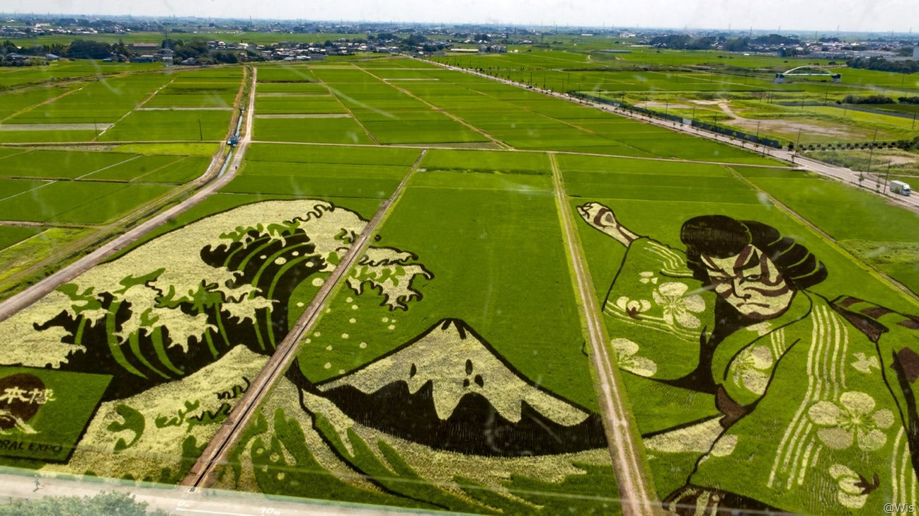 Art in the Rice Fields of Japan