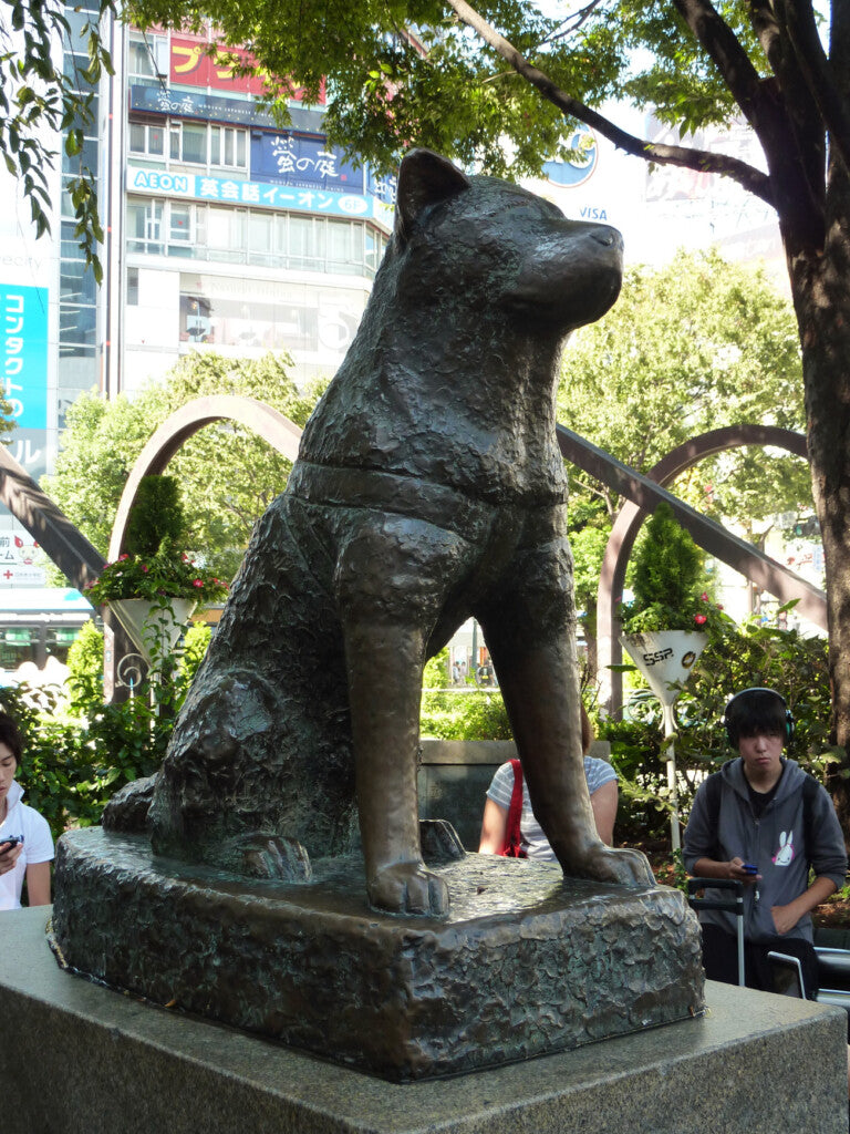 Hachiko – the friendship of a loyal dog