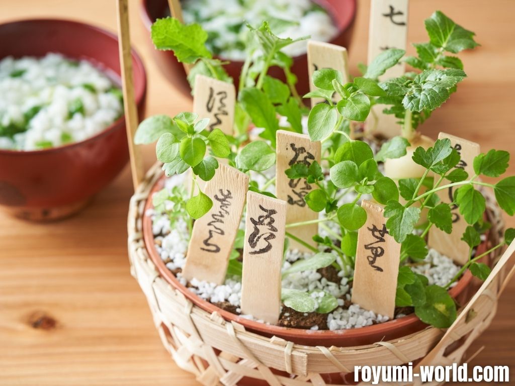 Nanakusa – The 7 herbs of Spring