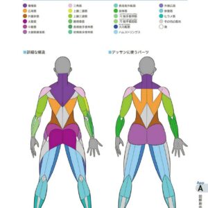 How to Draw “Body” in Digital Illustrations / eBook - Image 3