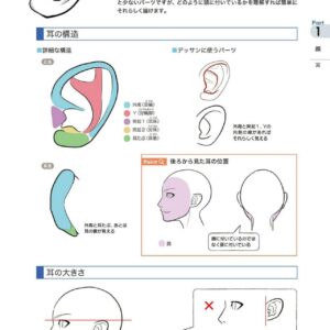 How to Draw “Body” in Digital Illustrations / eBook - Image 8