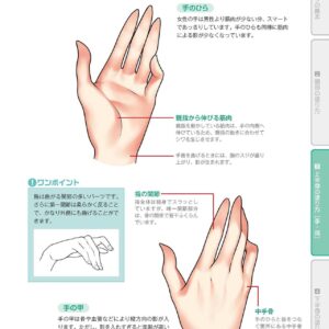 How to Apply Realistic Skin to Beautiful Girl Illustrations / eBook - Image 5