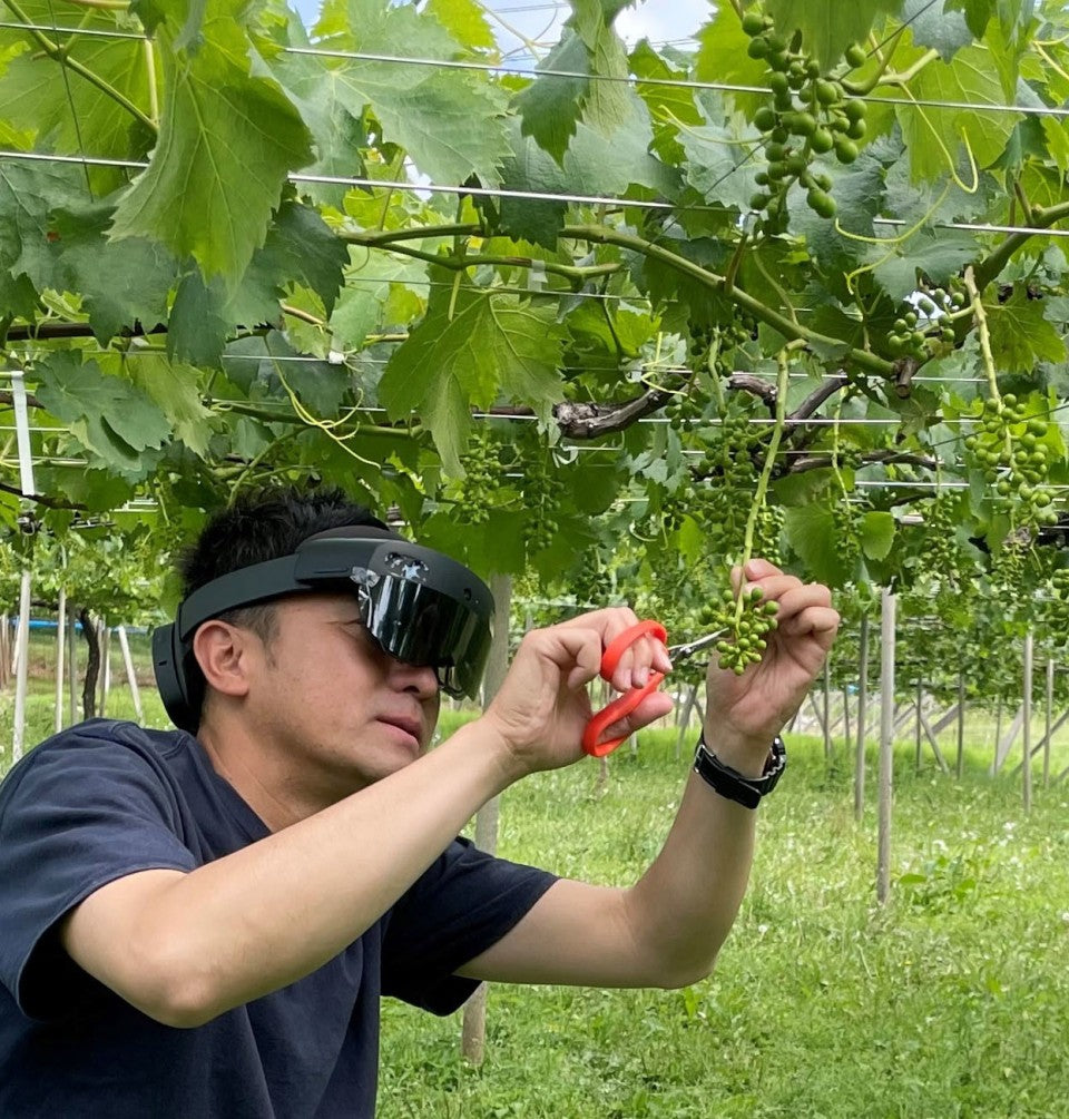 Experimentos con IA para ayudar a los productores de frutas de Japón