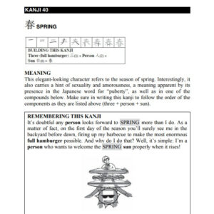 Mastering Japanese Kanji (JLPT Level N5) The Innovative Visual Method for Learning Japanese Characters / eBook - Image 2