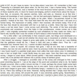 I am a cat - Natsume Soseki / eBook - Image 2